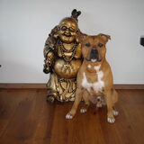 Foto van Buddha en Pip