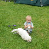 Foto van anja jordy ivan tim en ons hondje simba <3  <3