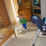 Foto van anja jordy ivan tim en ons hondje simba <3  <3
