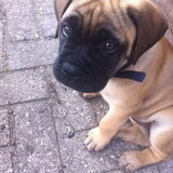 VERLIEFDDD!!
