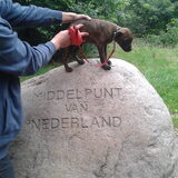 onze brutus was daar! ookal kijkt hij niet heel enthousiast...