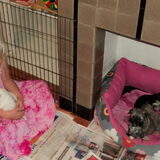 Foto van Gea (Nayca en Foxy)