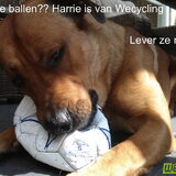 We hebben een oproep gedaan voor lekke ballen bij onze vrienden (kids).