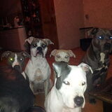 de hele bende samen :-)