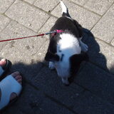 hallo zie julie me wel?