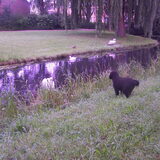 Zooo grote vogel! :)