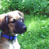 Foto van Zoë