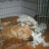 Tja.... De eerste week thuis..