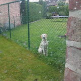 Foto van Melissa  ~Angel & Kylan~