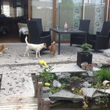 Eindelijk alle 4 heerlijk in de tuin
