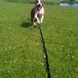 Foto van Rebecca & Roxy & Bullit
