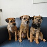 Foto van corrie koopman