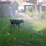 Foto van Thijs