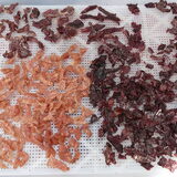 Kalkoen, hert en lam In 2240 gram droog 650 gram Droogtijd/temp: 14…