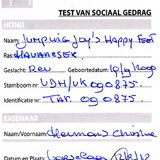 Foto van Xtine