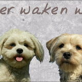 Foto van Melissa, Dempsey, Taiko, Minos & *Nina*