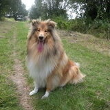 Foto van Dorie, Falcor †,  Atreyu en Jaydee