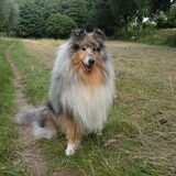 Foto van Dorie, Falcor †,  Atreyu en Jaydee