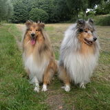 Foto van Dorie, Falcor †,  Atreyu en Jaydee