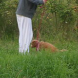 Diva plasje doen