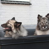 Samen mee met de fiets.