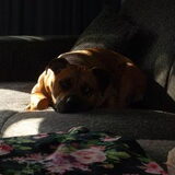 Foto van Sharon en Spyro