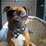 Stoere bink