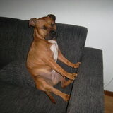 Foto van Sharon en Spyro