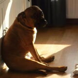 Foto van Sharon en Spyro