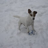 Diesel in de sneeuw!! Wat een lol heeft ie gehad!