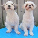 Sammy & Deva