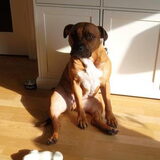 Foto van Sharon en Spyro