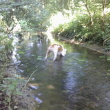 ff naar de bal duiken =)