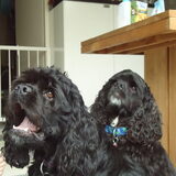 Foto van Floris & Senna
