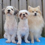 Sammy, Deva en Cloudy