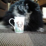 Mijn koffiebeker!!!
