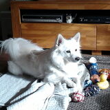 Nikki geniet van de zon.