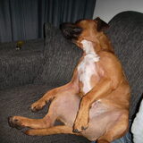 Foto van Sharon en Spyro