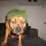 Gangster
