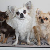 Lara, Lizzy en Lotte