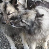 Ik vind jou wel lief!