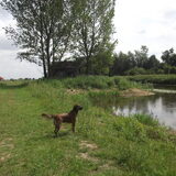 Foto van Zoë