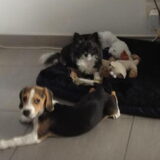 Chalou&Oliver :D