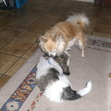 Hey Pukkie, ik wil met jou spelen :-)