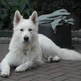 Foto van Linda