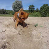 Altijd graven