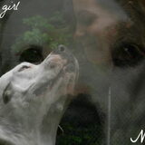 Foto van Melissa, Dempsey, Taiko, Minos & *Nina*