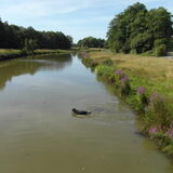 Foto van Rianne