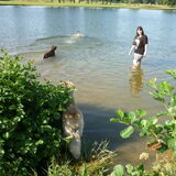 Yucca voor de 1e keer in het water