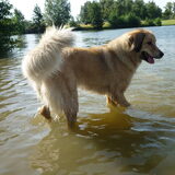 Eerste keer in het water